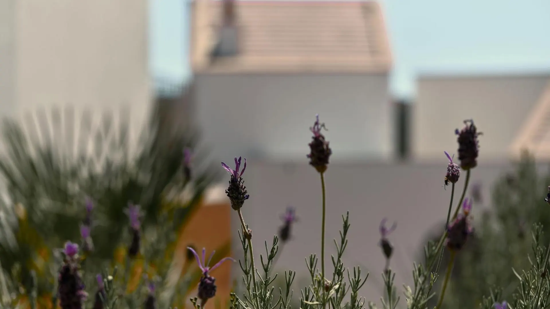 Viceroy At Ombria Algarve Hotell Loulé Semesteranläggning (resort)